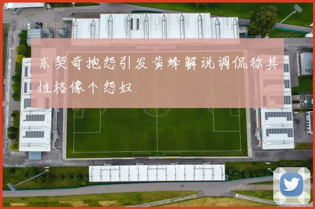 东契奇抱怨引发黄蜂解说调侃称其性格像个怨妇