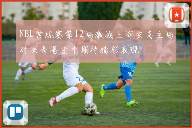 NBL常规赛第12场激战上海玄鸟主场对决香港金牛期待精彩表现