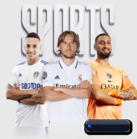 九州体育 APP(JIUZHOUSPORTS)